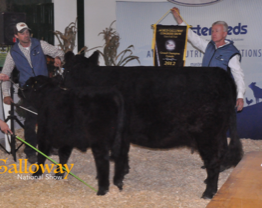 Grand Champion Female - Glenfiddich Sapphire with Glenfiddich Zeus ay foot - at the Galloway National Show
