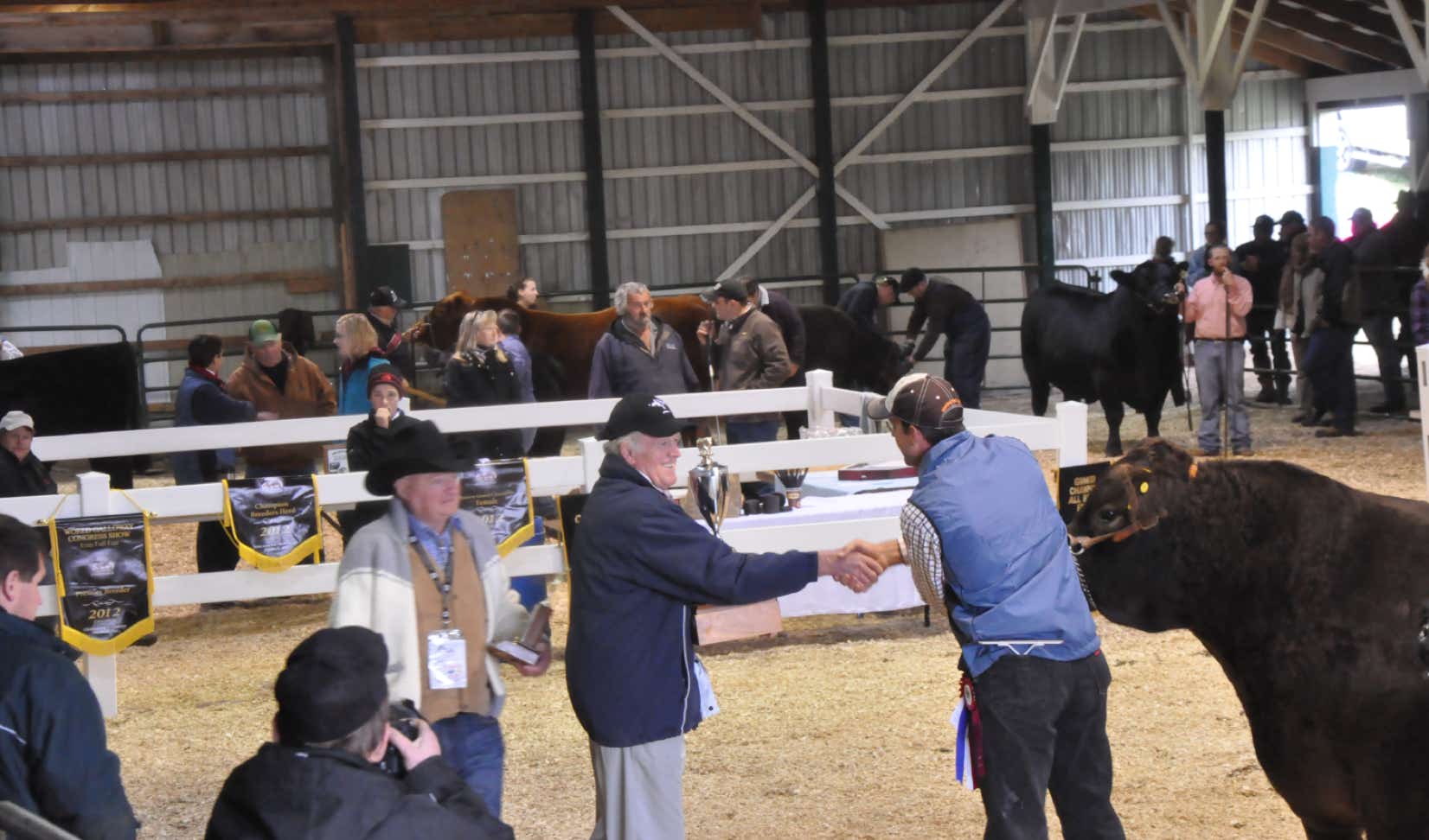 Barry Mclley of New Zealand presenting the trophy for the  Grand Champion Galloway Bull to John A Mcilwraith